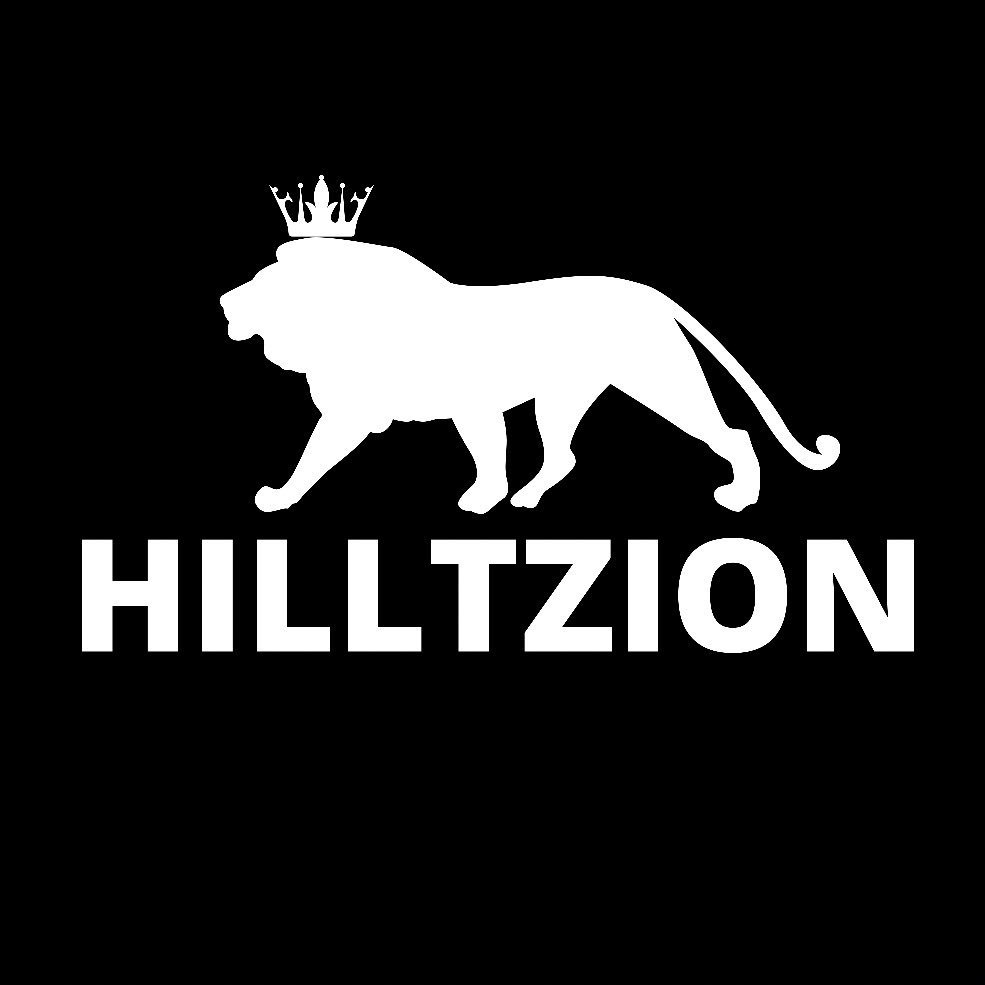 Hilltzion Camisaria ✅